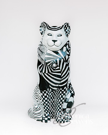 #22 Catical Illusions