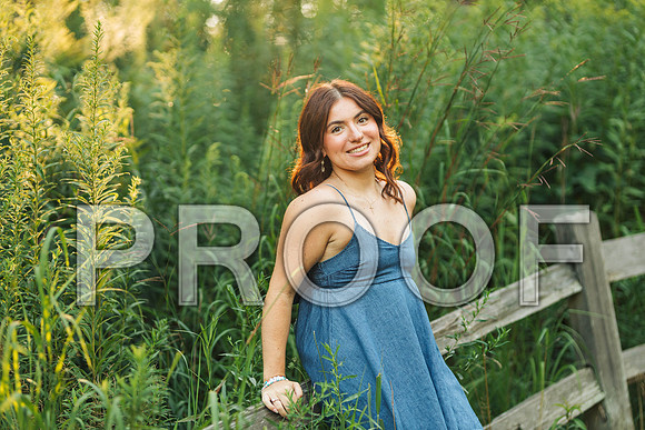 CHEW6279