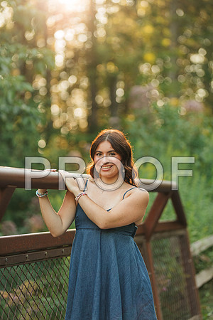 CHEW6411