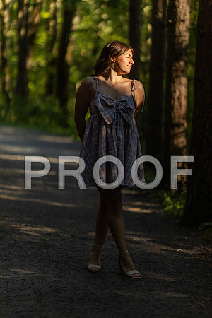 VCP_2984