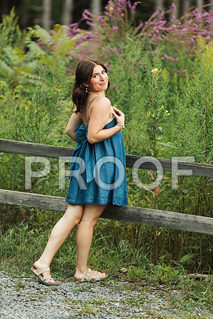 VCP_3367