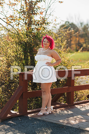 VCP_8445