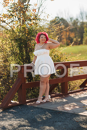 VCP_8451