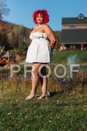 VCP_8565