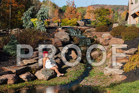 VCP_8579