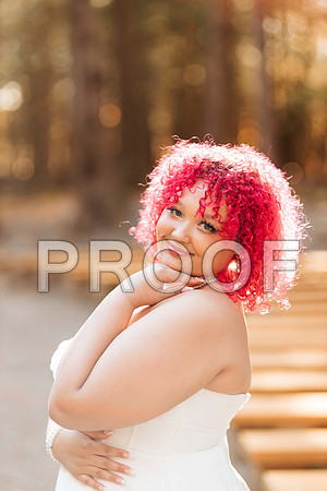 VCP_8707