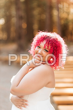 VCP_8708