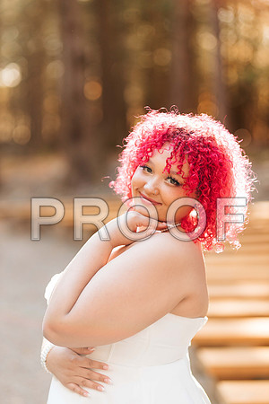 VCP_8709