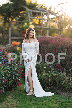 VCP_0178