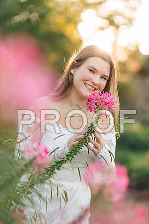 VCP_0264