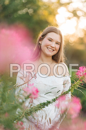 VCP_0272