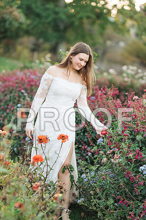 VCP_0323