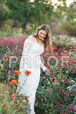 VCP_0329