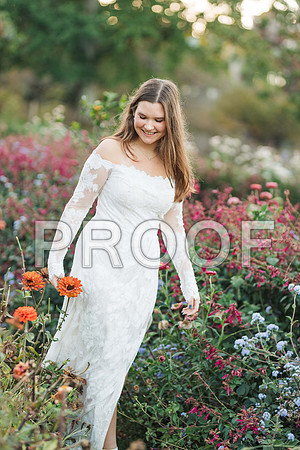 VCP_0335