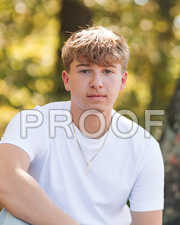 VCP_2019