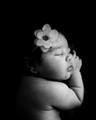 _CHW4325-Edit-2