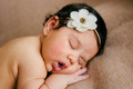 _CHW4310-Edit