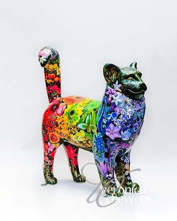 #31 Rainbow Garden Cat