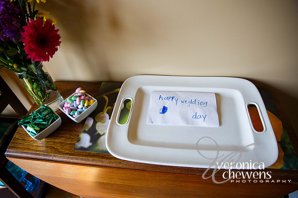 Tina & Joe Wedding (1f)