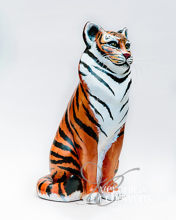 #52 Bengal Cat (3)