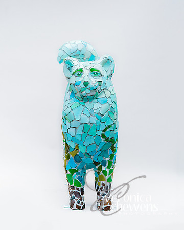 #2 Dutchmen's Beach Glass (2)