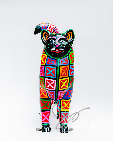 #4 Mola Cat (2)