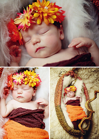 BlogBoard-2