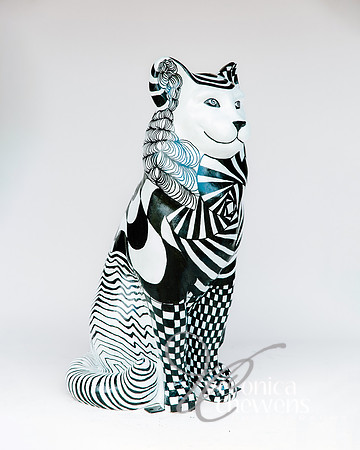#22 Catical Illusions (3)