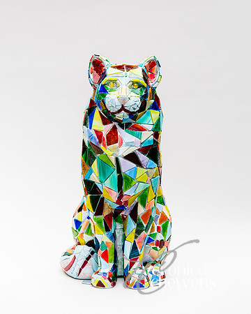 #40 Classy Glassy Cat