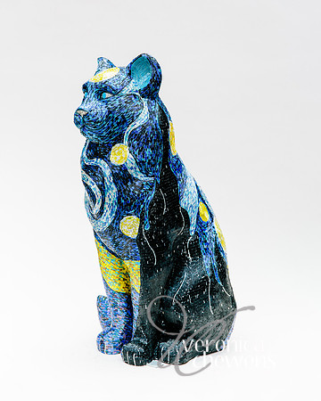 #28 Starry Starry Night (3)