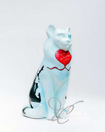 #6 Bankcatsy (2)