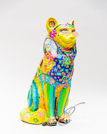 #33 Hippy Kitty Turns 50 (2)