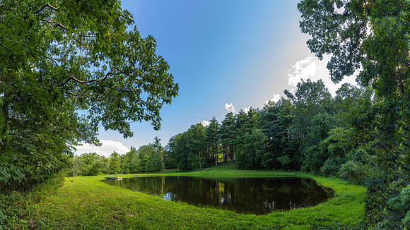 596JosephChadderonRd_0070-Pano