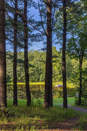596JosephChadderonRd_0213