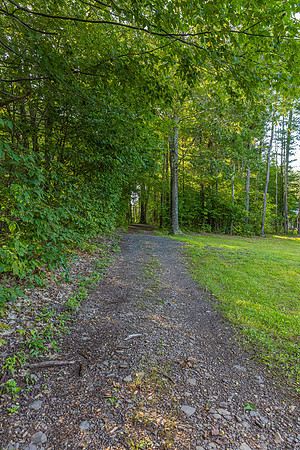 596JosephChadderonRd_0483