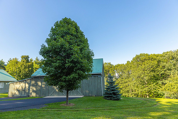 596JosephChadderonRd_0530