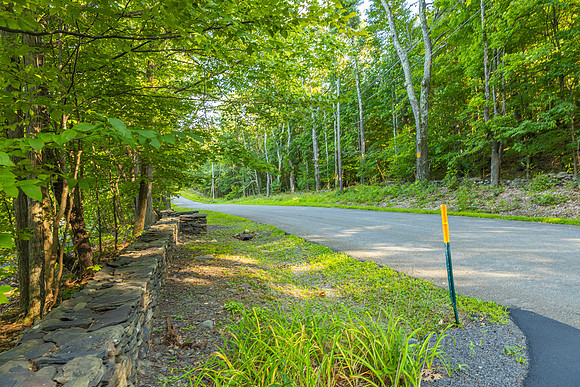 596JosephChadderonRd_0563