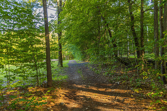 596JosephChadderonRd_0761_1