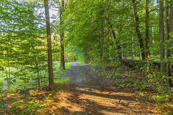 596JosephChadderonRd_0761