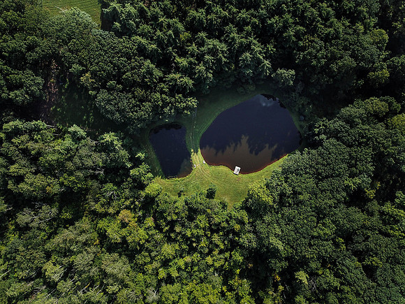 DJI_0011
