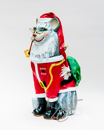 #17 Santa Paws (3)