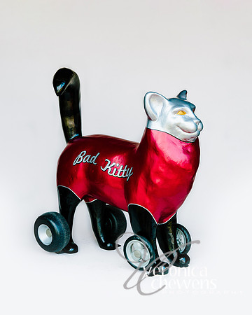 #21 Bad Kitty (2)