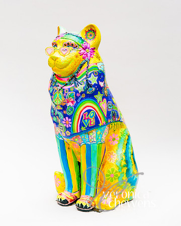 #33 Hippy Kitty Turns 50 (3)
