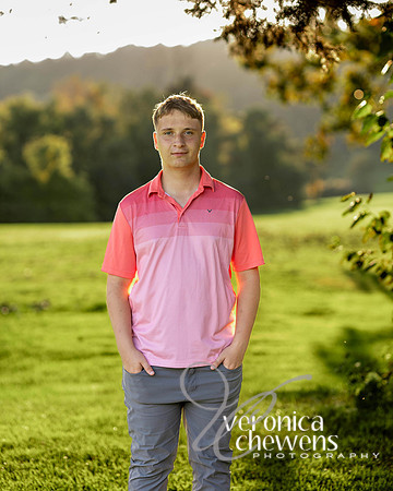VCP_2413