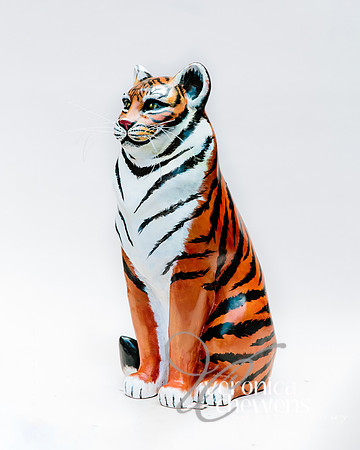 #52 Bengal Cat (2)