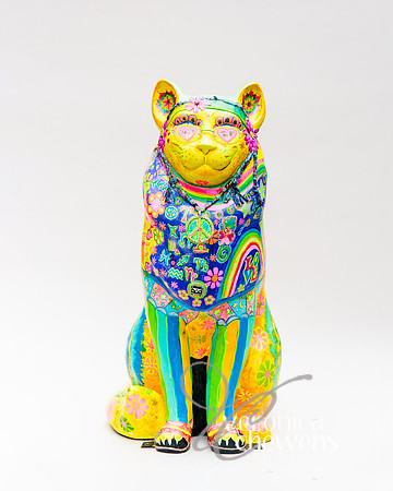 #33 Hippy Kitty Turns 50