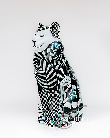 #22 Catical Illusions (2)