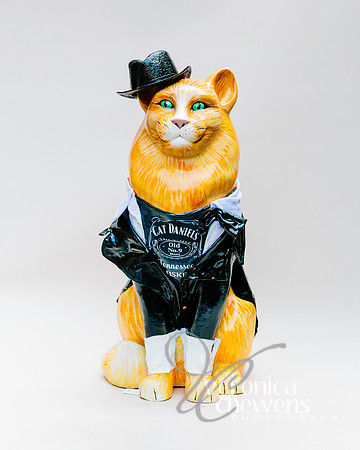 #51 Cat Daniels