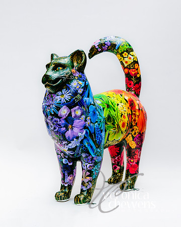 #31 Rainbow Garden Cat (3)