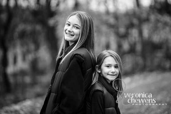 VCP_6379